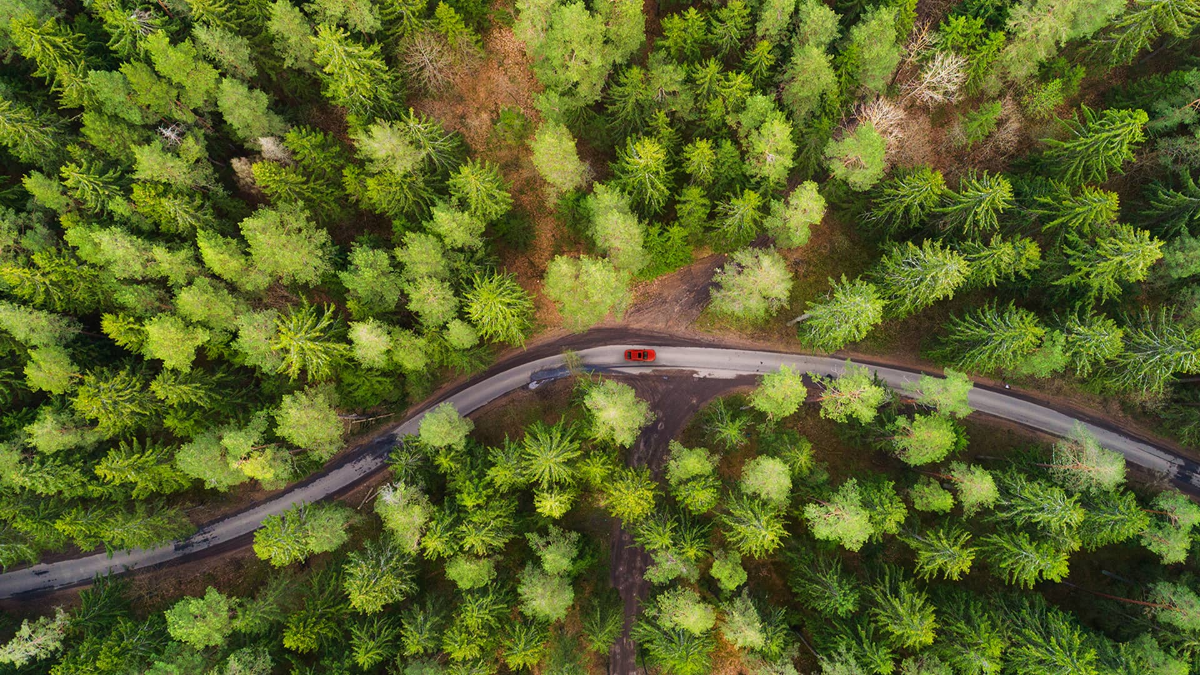 Powering a Carbon-free Future