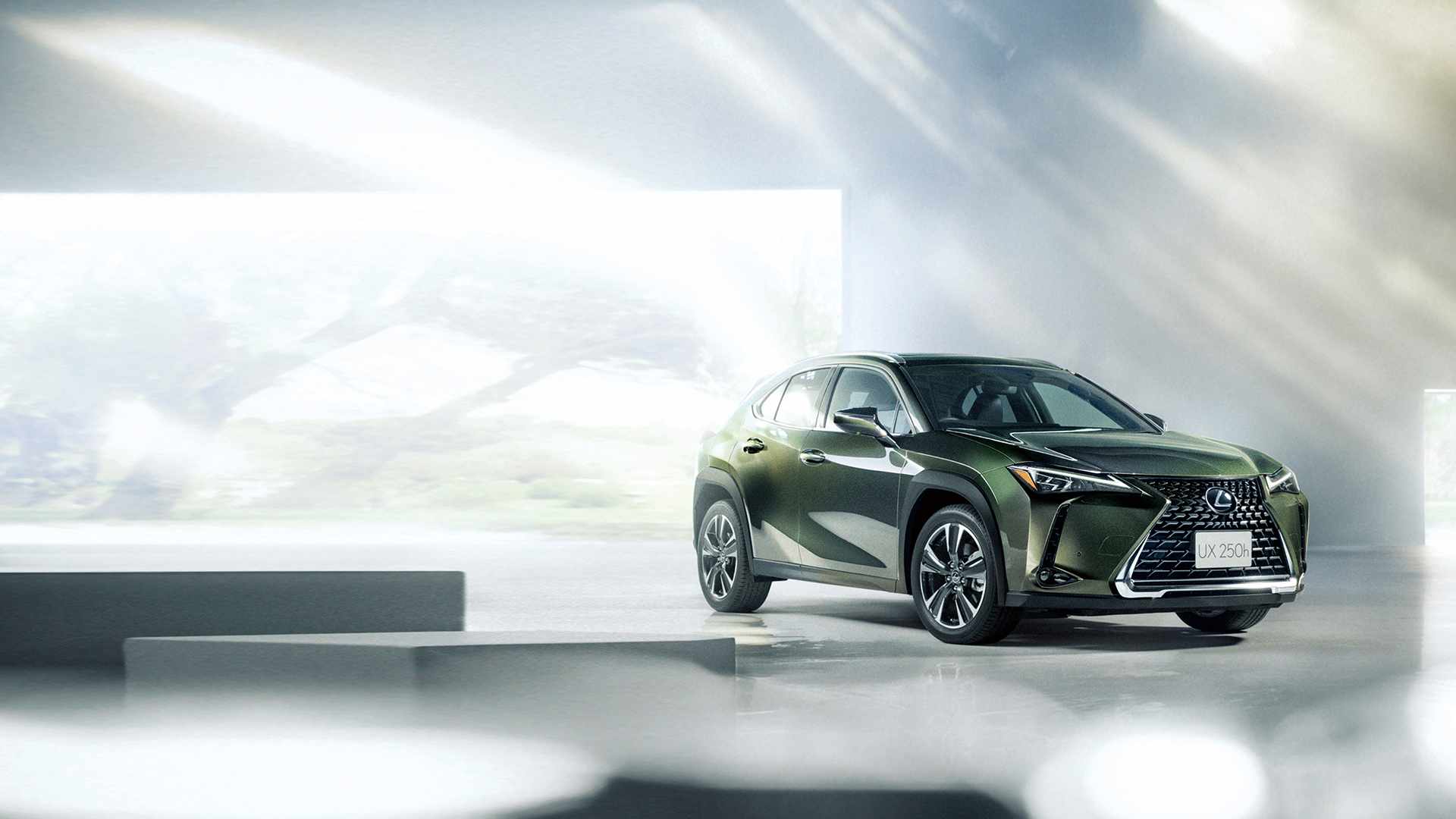 Green Lexus UX parked against a bright background
